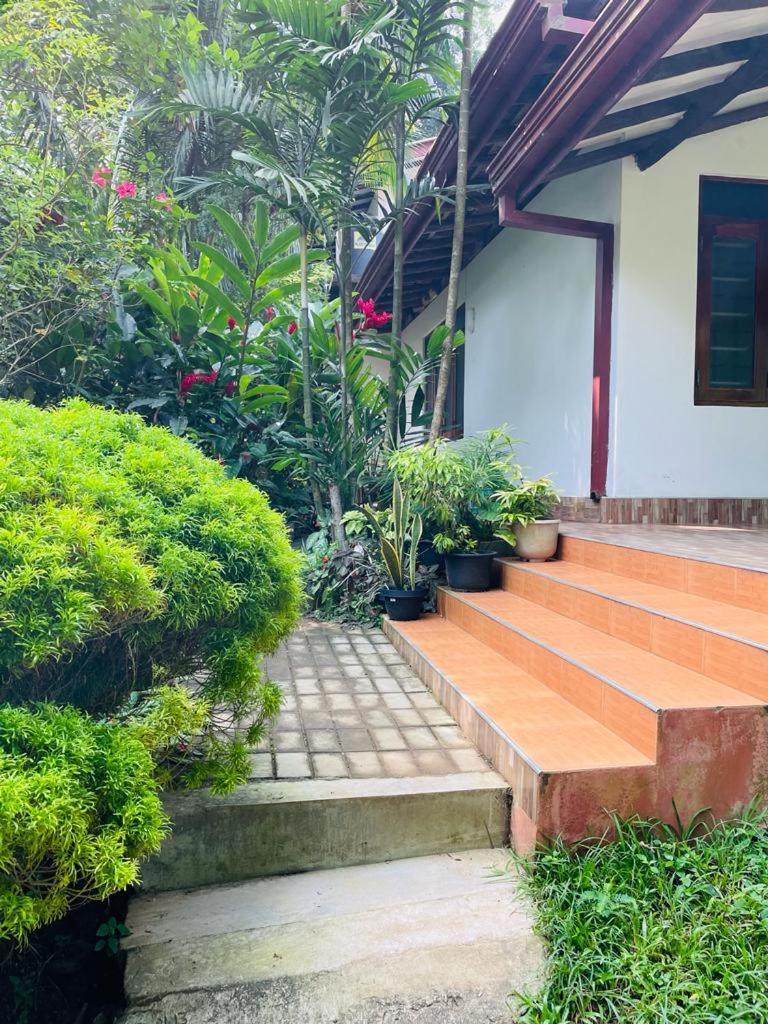 Chami'S Home Stay Mirissa Bagian luar foto