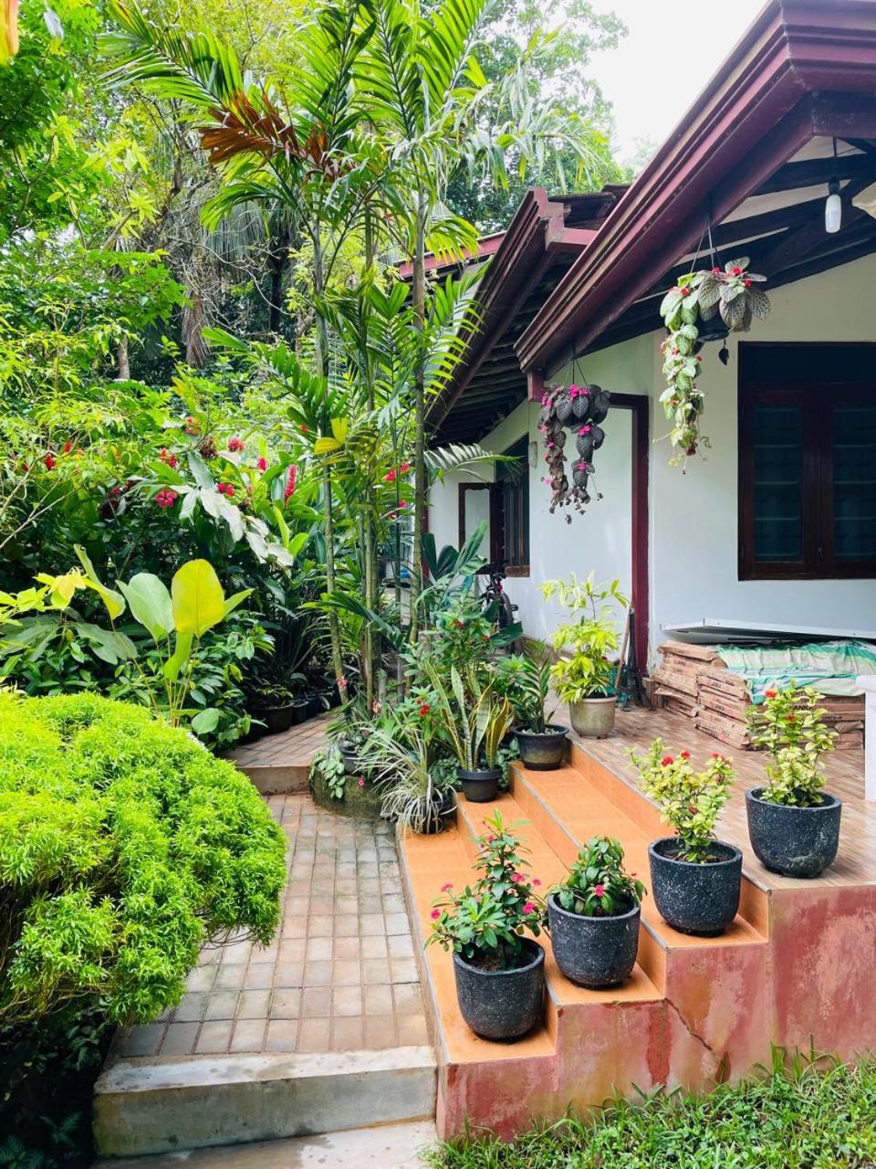 Chami'S Home Stay Mirissa Bagian luar foto